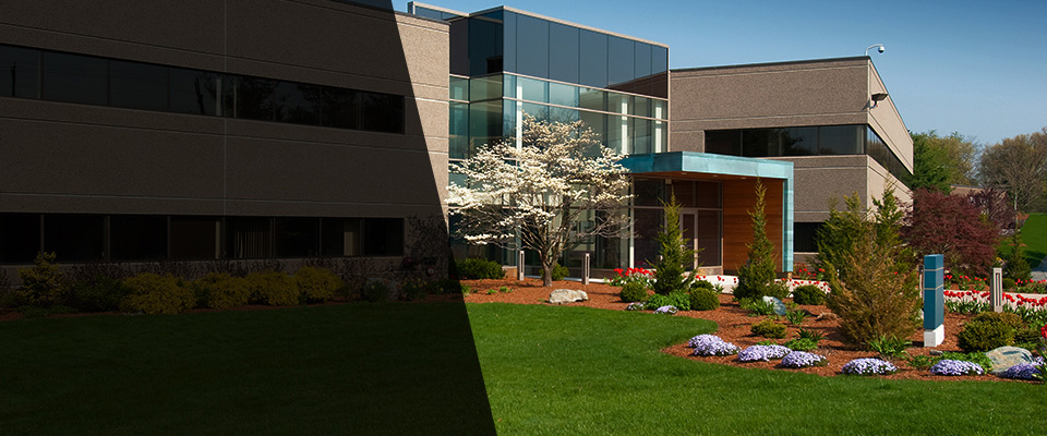 North Chelmsford Landscapers