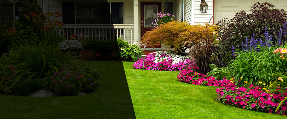 North Chelmsford Landscapers